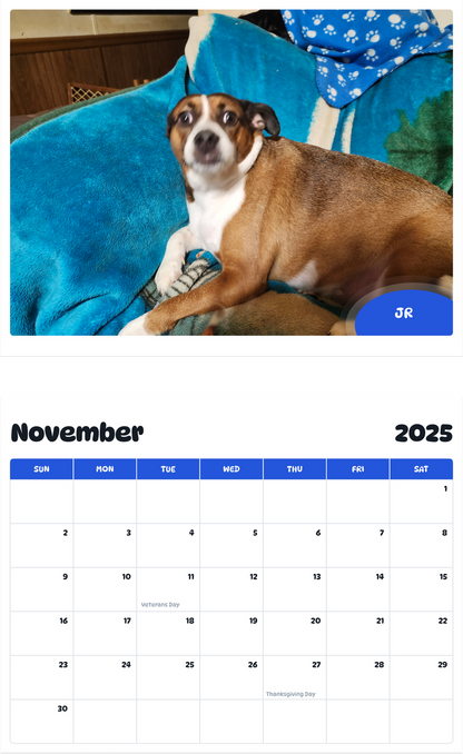 July 2025 - June 2026 Jr - Pawidols Pet Calendar