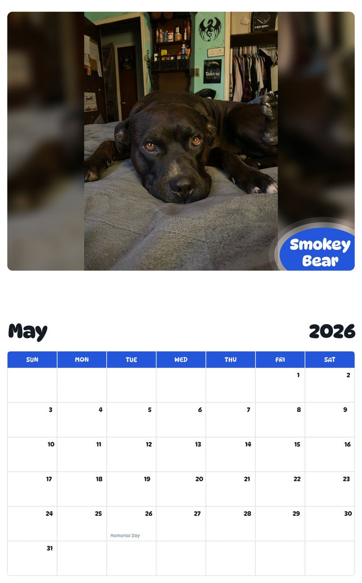 2026 - 2027 Smokey Bear - Pawidols Pet Calendar