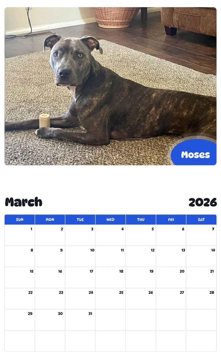 November 2025 - October 2026 Moses - Pawidols Pet Calendar
