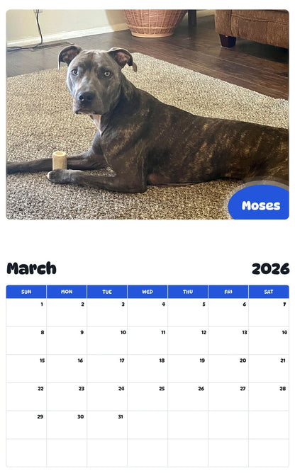 November 2025 - October 2026 Moses - Pawidols Pet Calendar