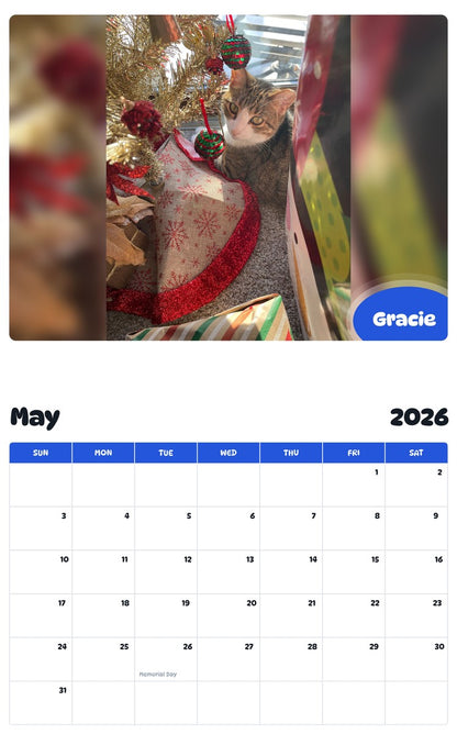 2026 - 2027 Gracie - Pawidols Pet Calendar