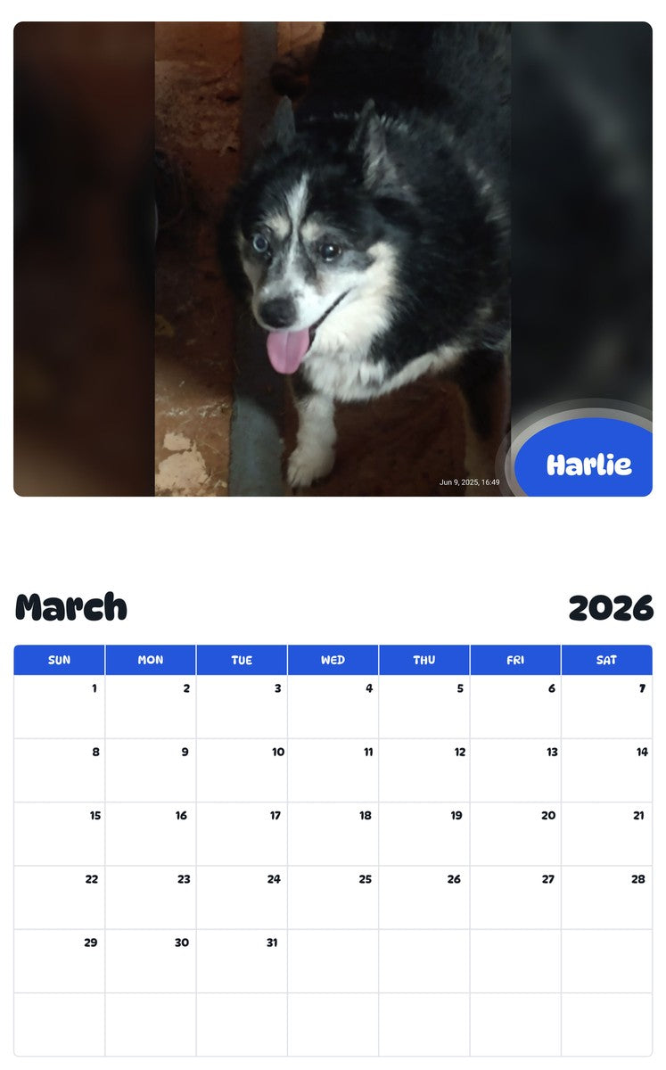 November 2025 - October 2026 Harlie - Pawidols Pet Calendar