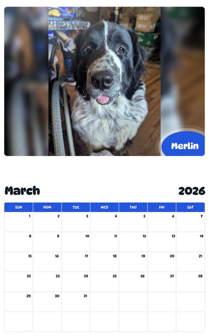 November 2025 - October 2026 Merlin - Pawidols Pet Calendar