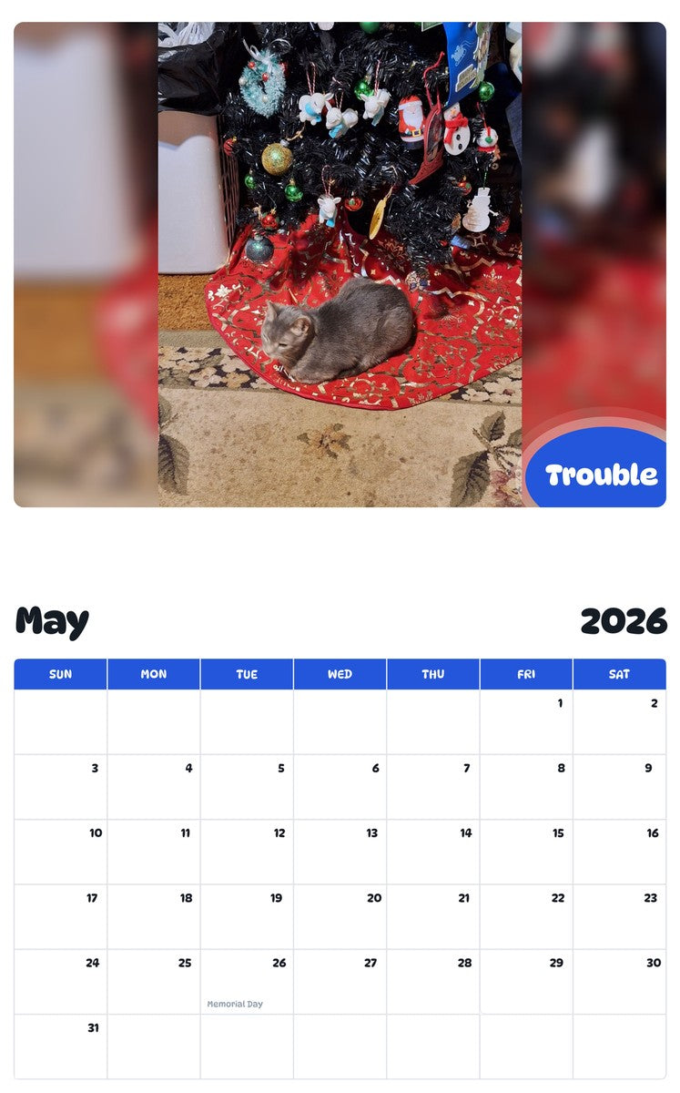 2026 - 2027 Trouble - Pawidols Pet Calendar