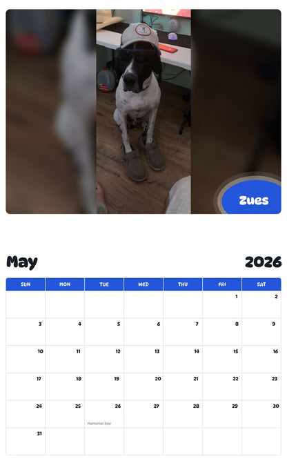 2026 - 2027 Zues - Pawidols Pet Calendar