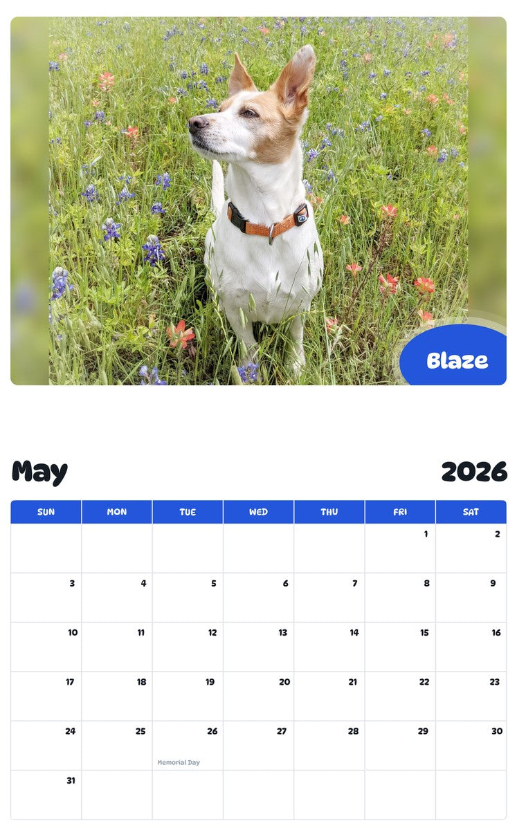 2026 - 2027 Blaze - Pawidols Pet Calendar