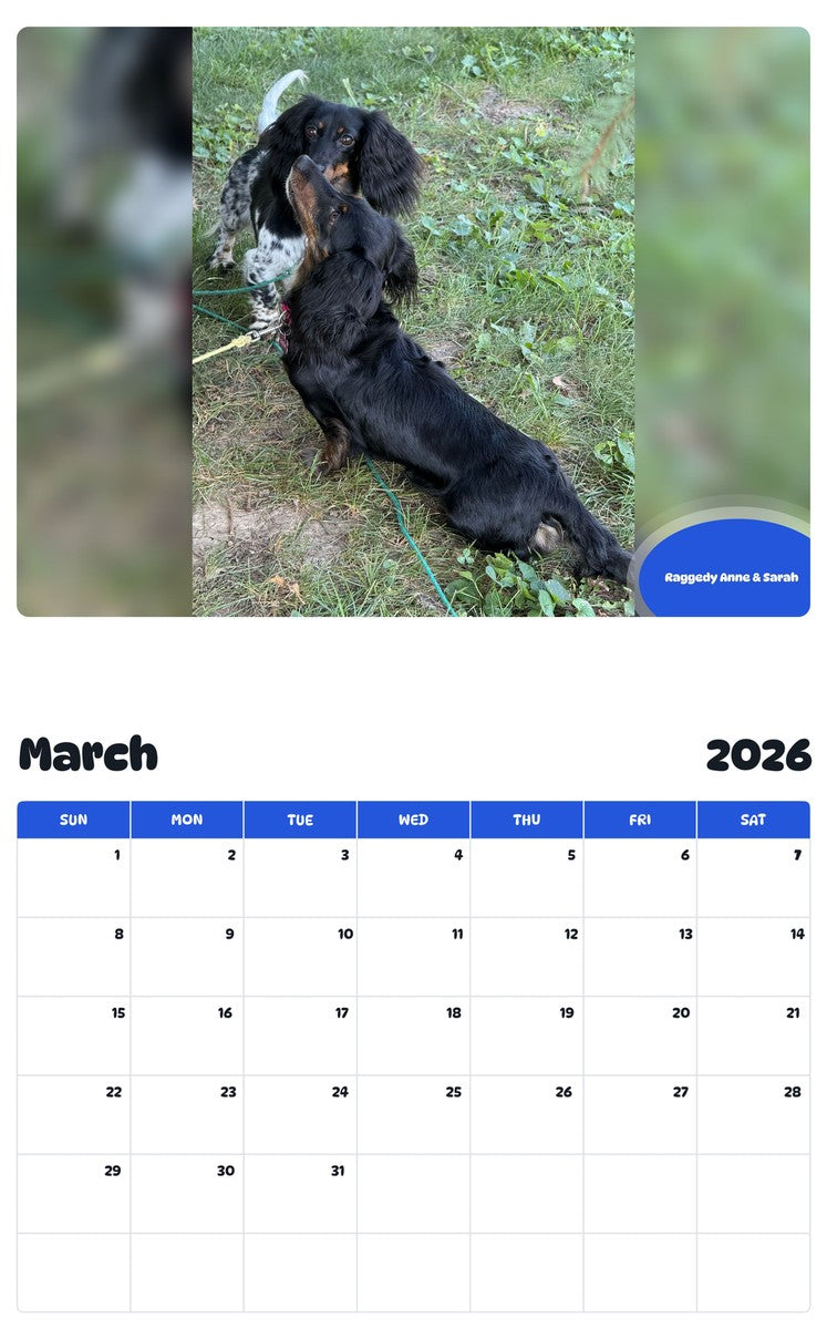 November 2025 - October 2026 Raggedy Anne & Sarah - Pawidols Pet Calendar