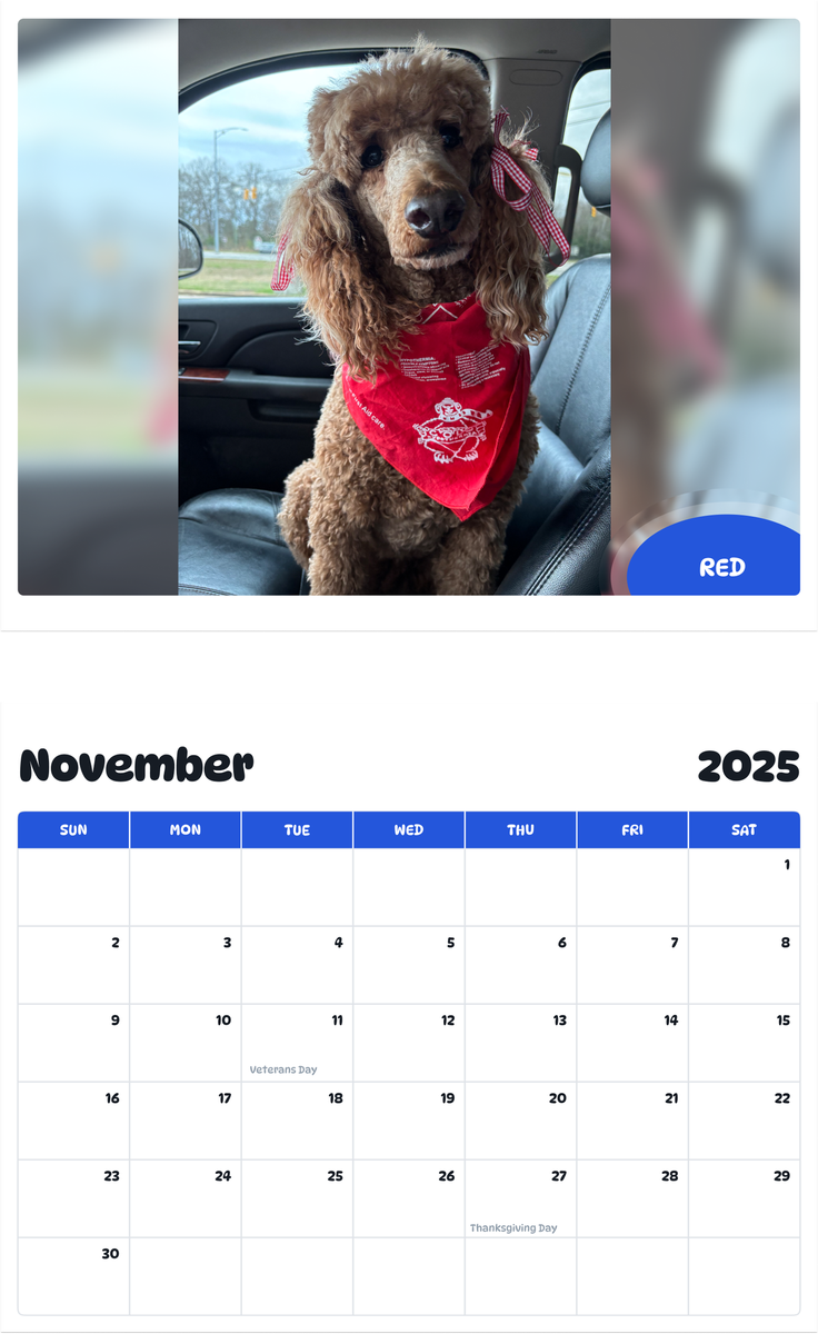 July 2025 - June 2026 Red - Pawidols Pet Calendar