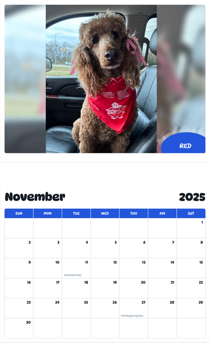 July 2025 - June 2026 Red - Pawidols Pet Calendar