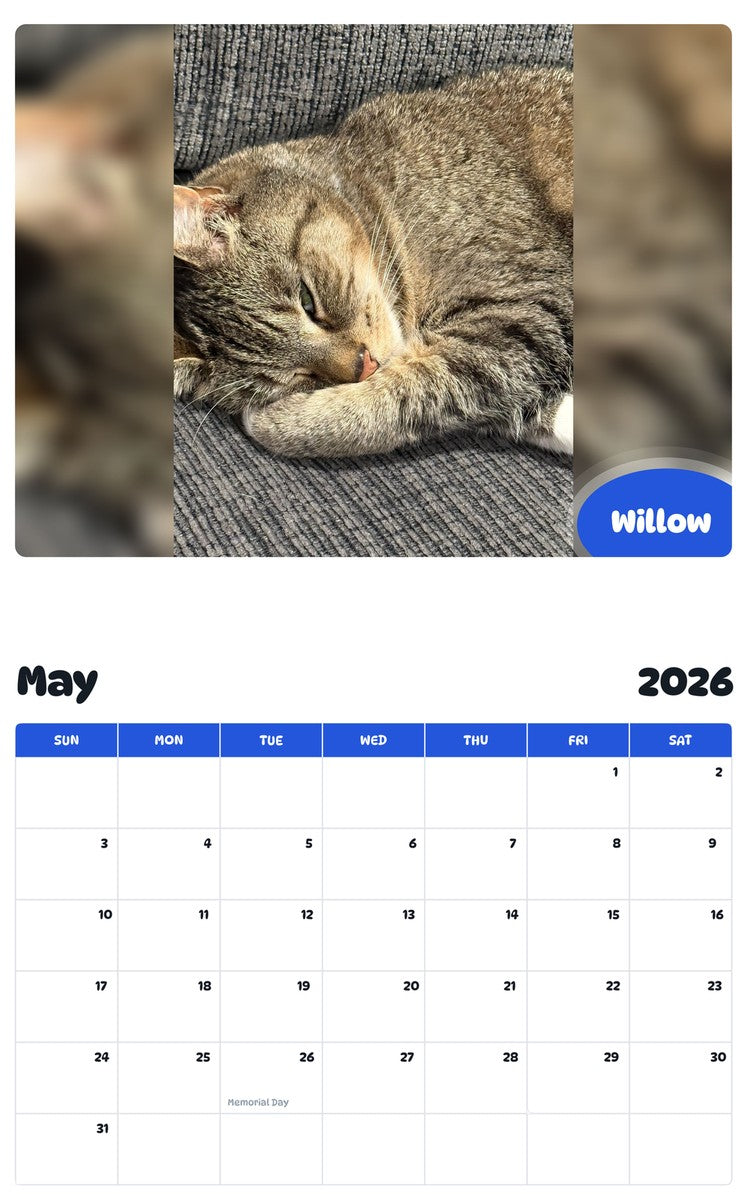 2026 - 2027 Willow - Pawidols Pet Calendar