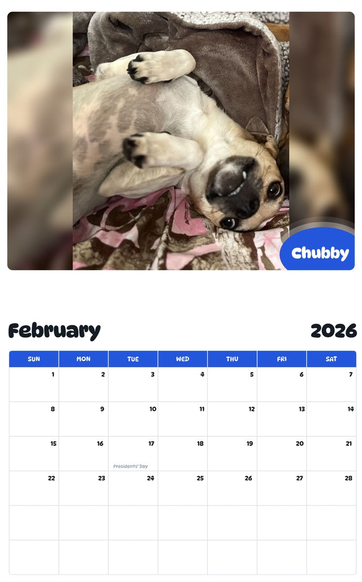 October 2025 - September 2026 Chubby - Pawidols Pet Calendar