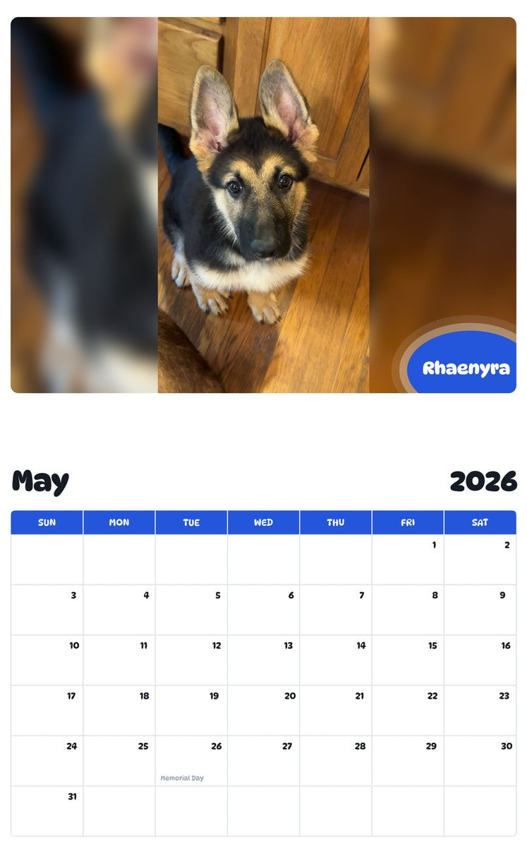 2026 - 2027 Rhaenyra - Pawidols Pet Calendar