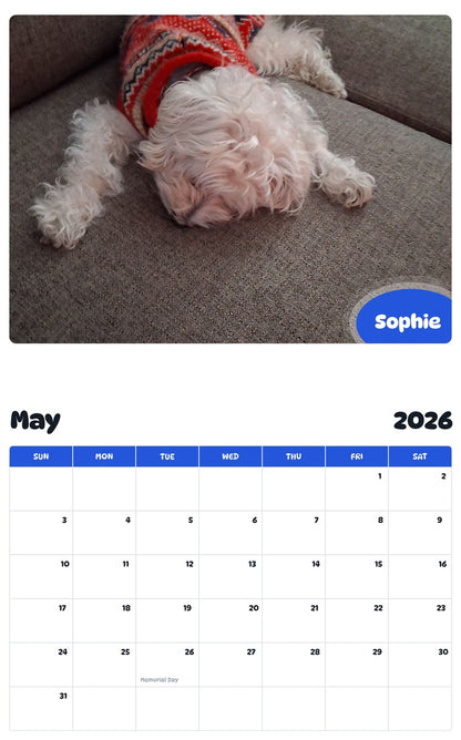 2026 - 2027 Sophie - Pawidols Pet Calendar