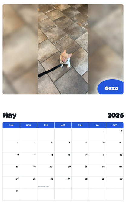 2026 - 2027 Ozzo - Pawidols Pet Calendar