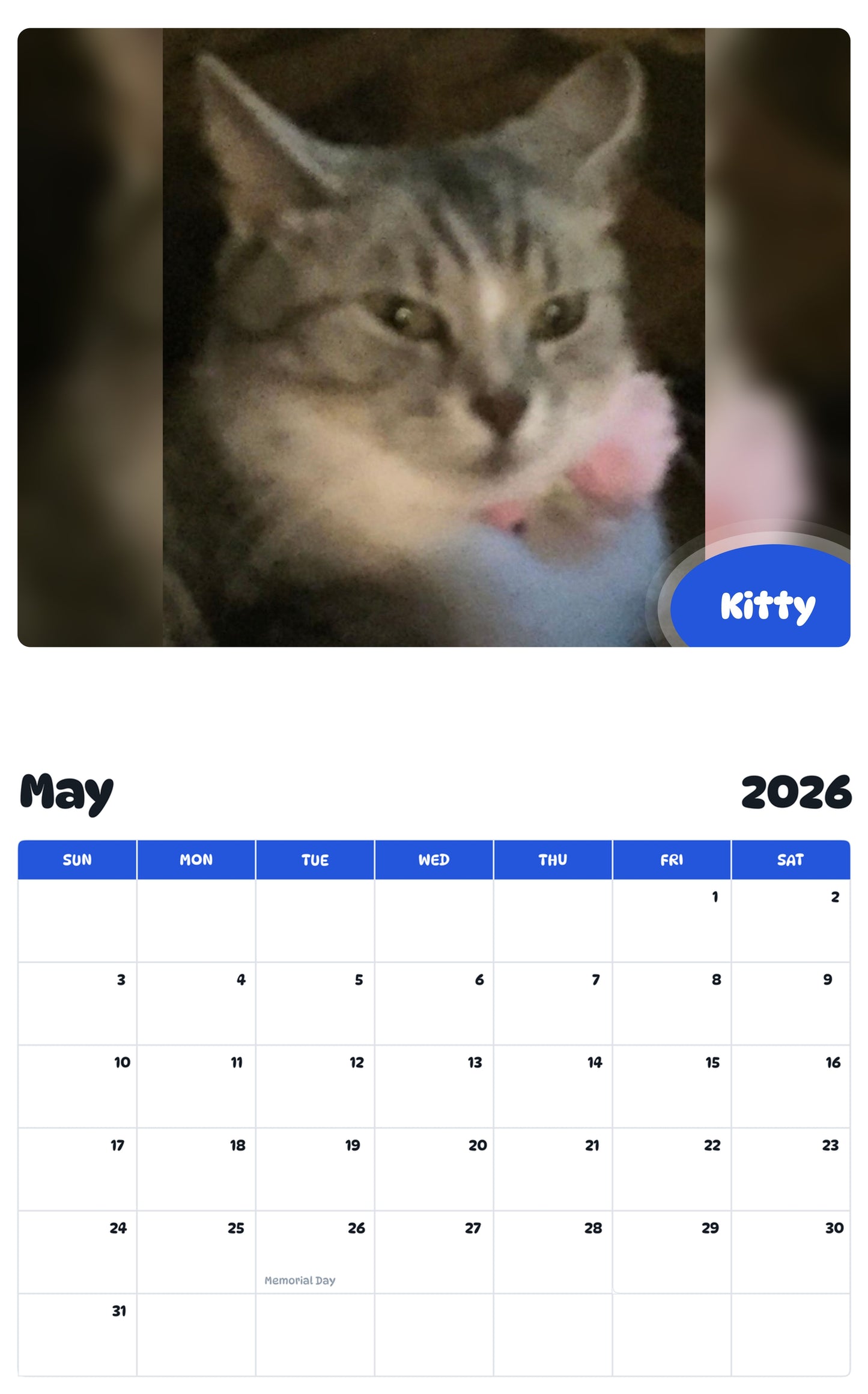 2026 - 2027 Kitty - Pawidols Pet Calendar