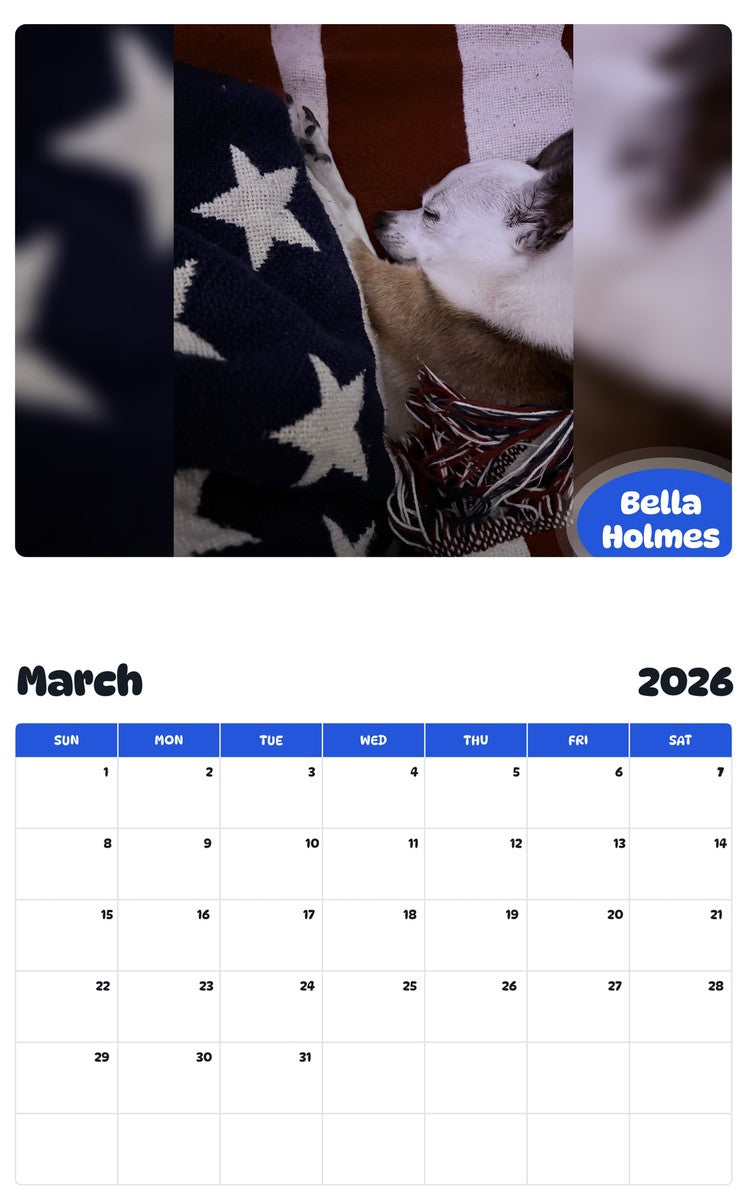November 2025 - October 2026 Bella Holmes - Pawidols Pet Calendar
