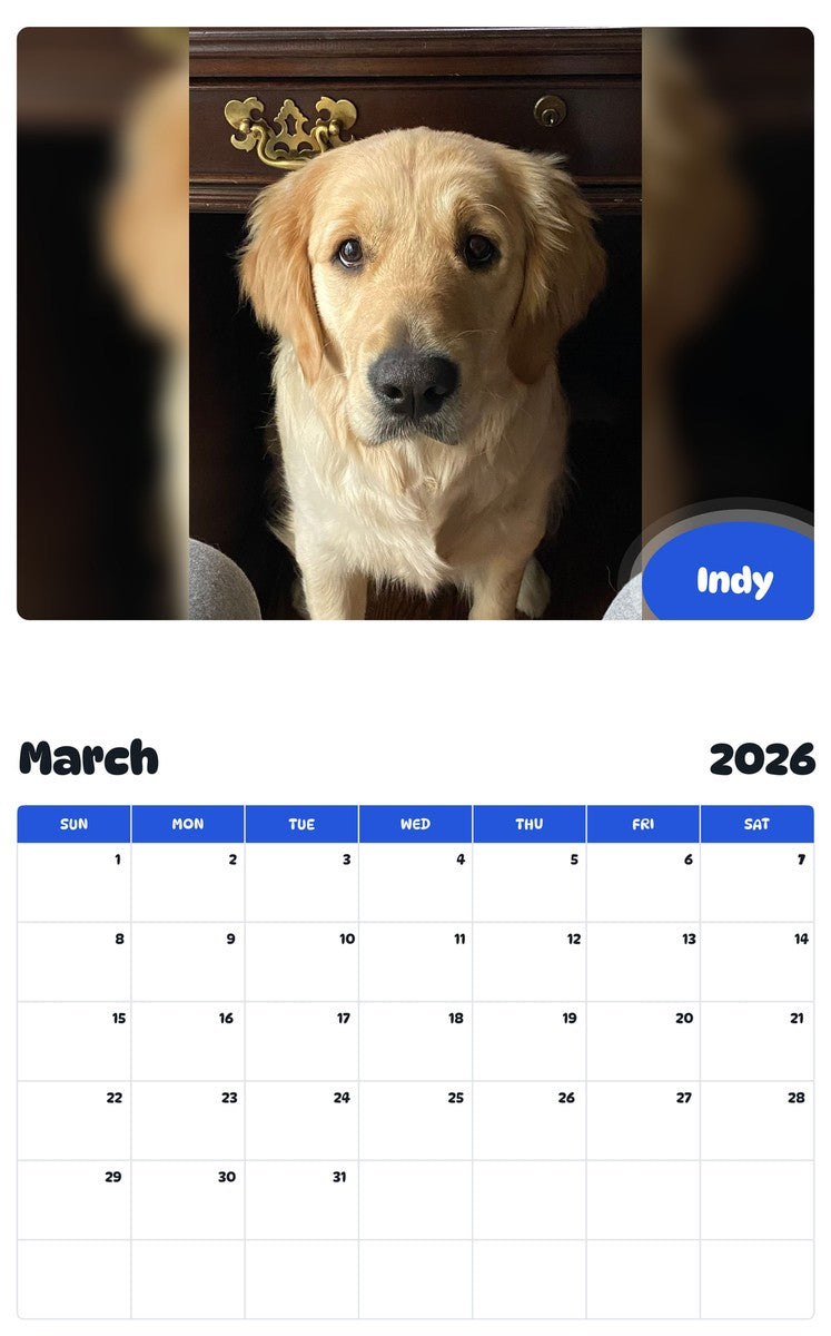 November 2025 - October 2026 Indy - Pawidols Pet Calendar