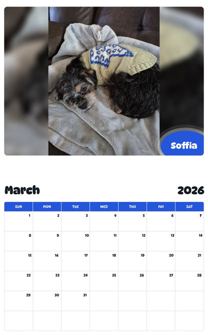 November 2025 - October 2026 Soffia - Pawidols Pet Calendar