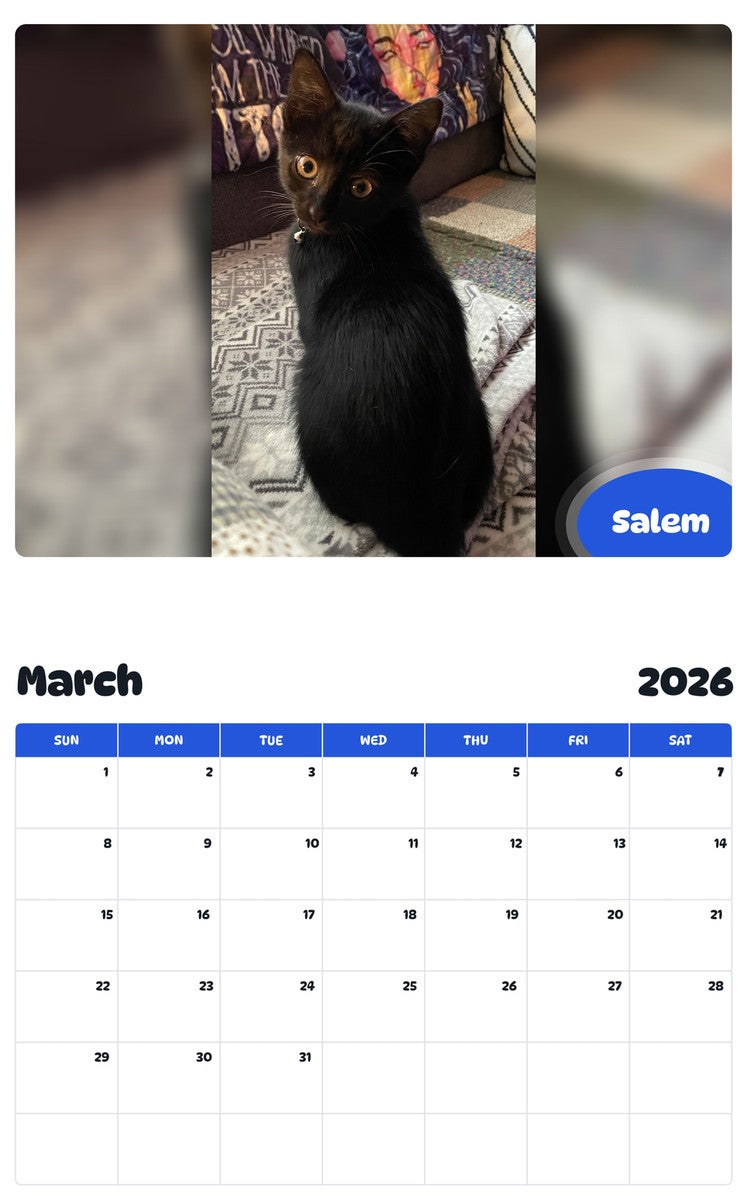 November 2025 - October 2026 Salem - Pawidols Pet Calendar