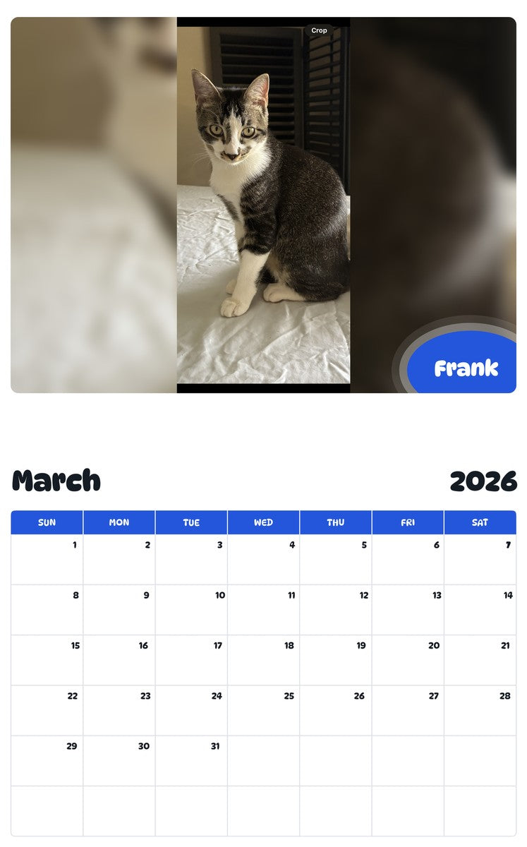 November 2025 - October 2026 Frank - Pawidols Pet Calendar