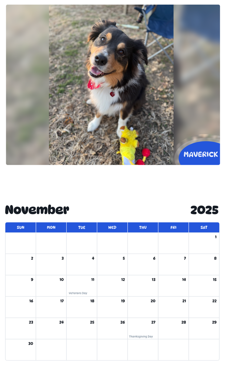 July 2025 - June 2026 Maverick - Pawidols Pet Calendar