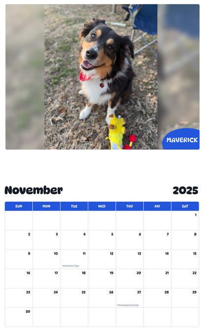 July 2025 - June 2026 Maverick - Pawidols Pet Calendar