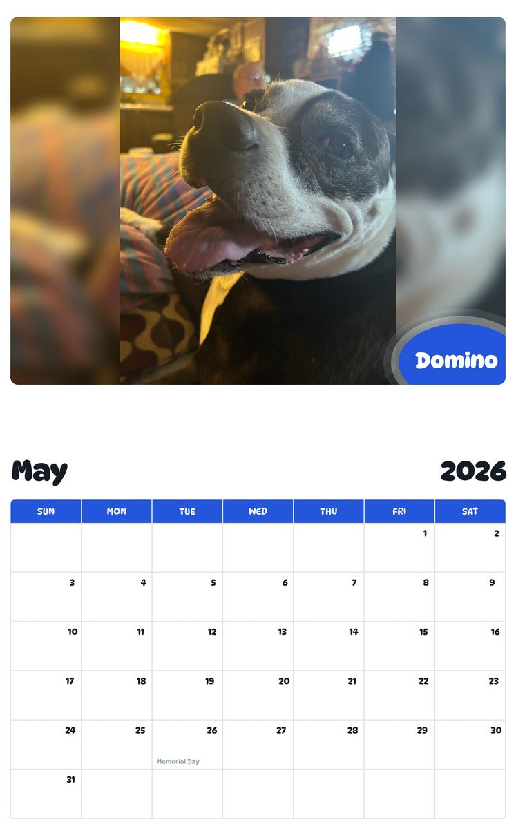 2026 - 2027 Domino - Pawidols Pet Calendar