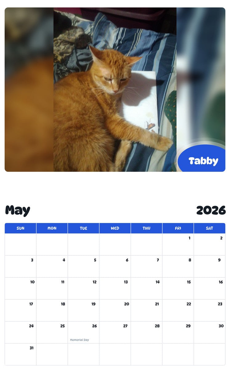 2026 - 2027 Tabby - Pawidols Pet Calendar