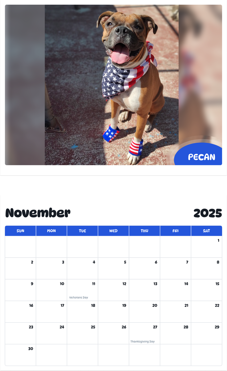 July 2025 - June 2026 Pecan - Pawidols Pet Calendar