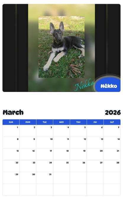 November 2025 - October 2026 Nēkko - Pawidols Pet Calendar