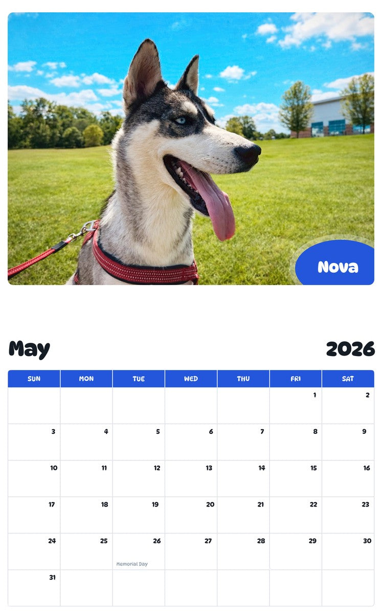 2026 - 2027 Nova - Pawidols Pet Calendar