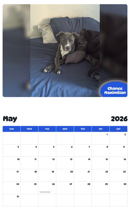 2026 - 2027 Chance Maximilian - Pawidols Pet Calendar