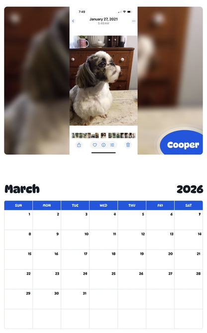 November 2025 - October 2026 Cooper - Pawidols Pet Calendar