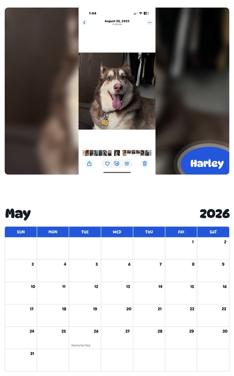 2026 - 2027 Harley - Pawidols Pet Calendar