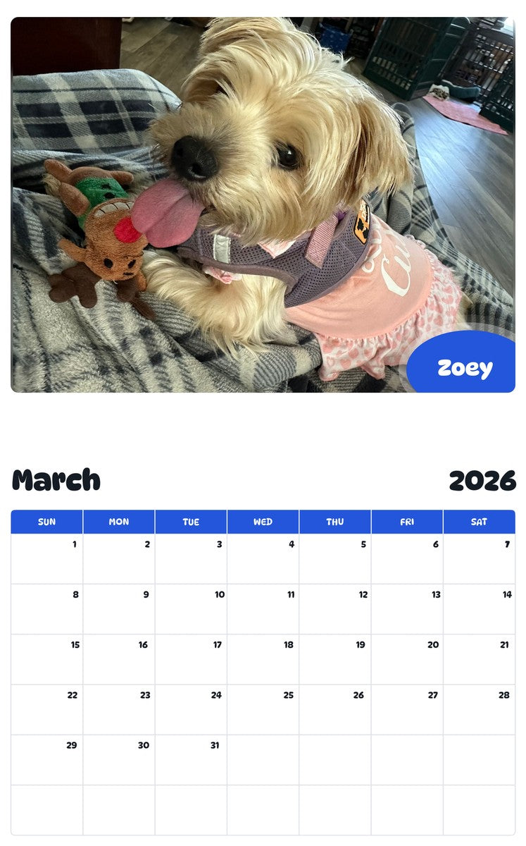November 2025 - October 2026 Zoey - Pawidols Pet Calendar