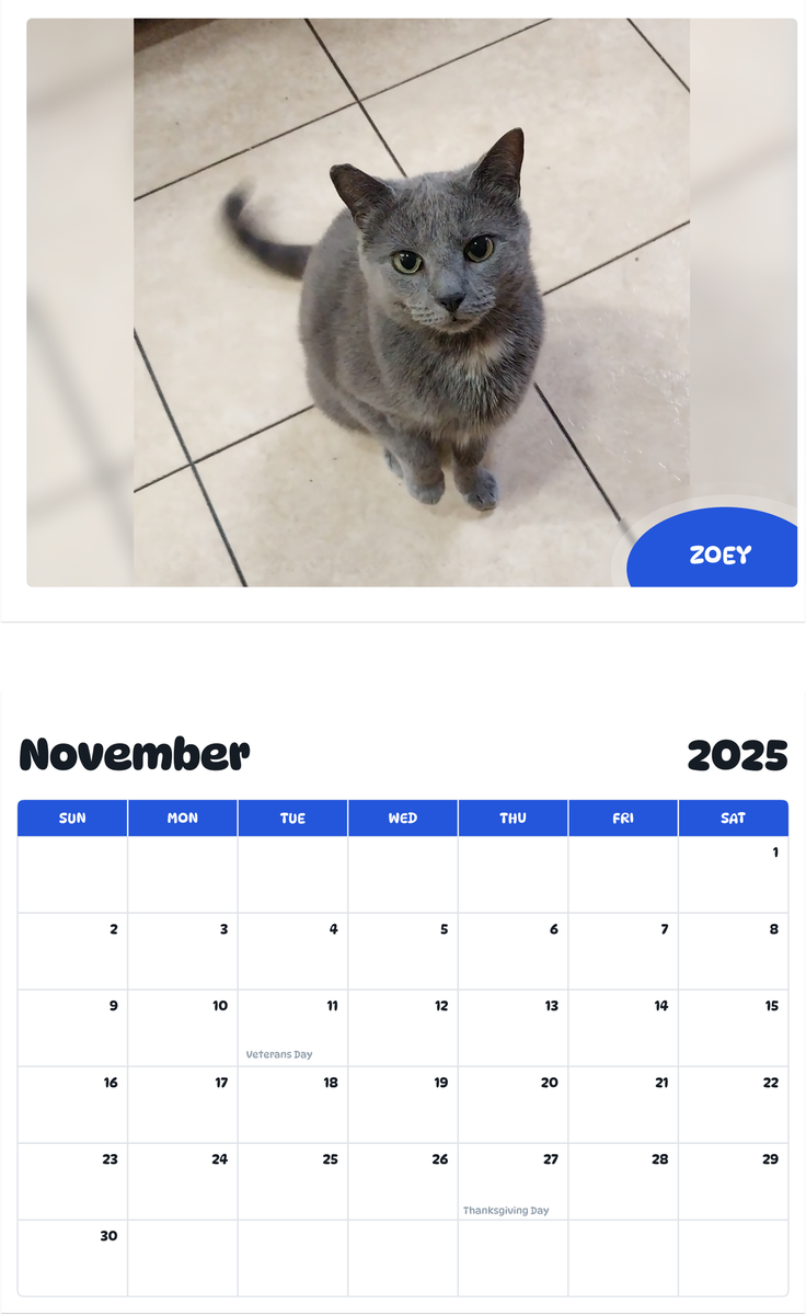 July 2025 - June 2026 Zoey - Pawidols Pet Calendar
