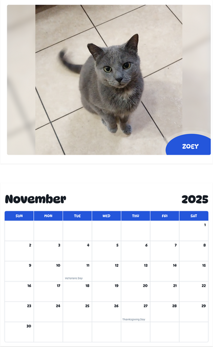 July 2025 - June 2026 Zoey - Pawidols Pet Calendar