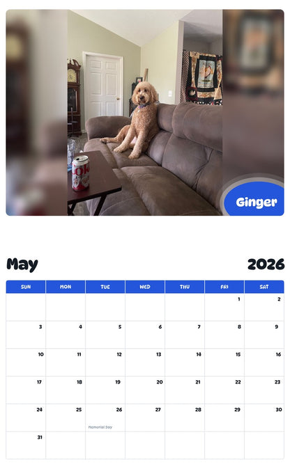 2026 - 2027 Ginger - Pawidols Pet Calendar