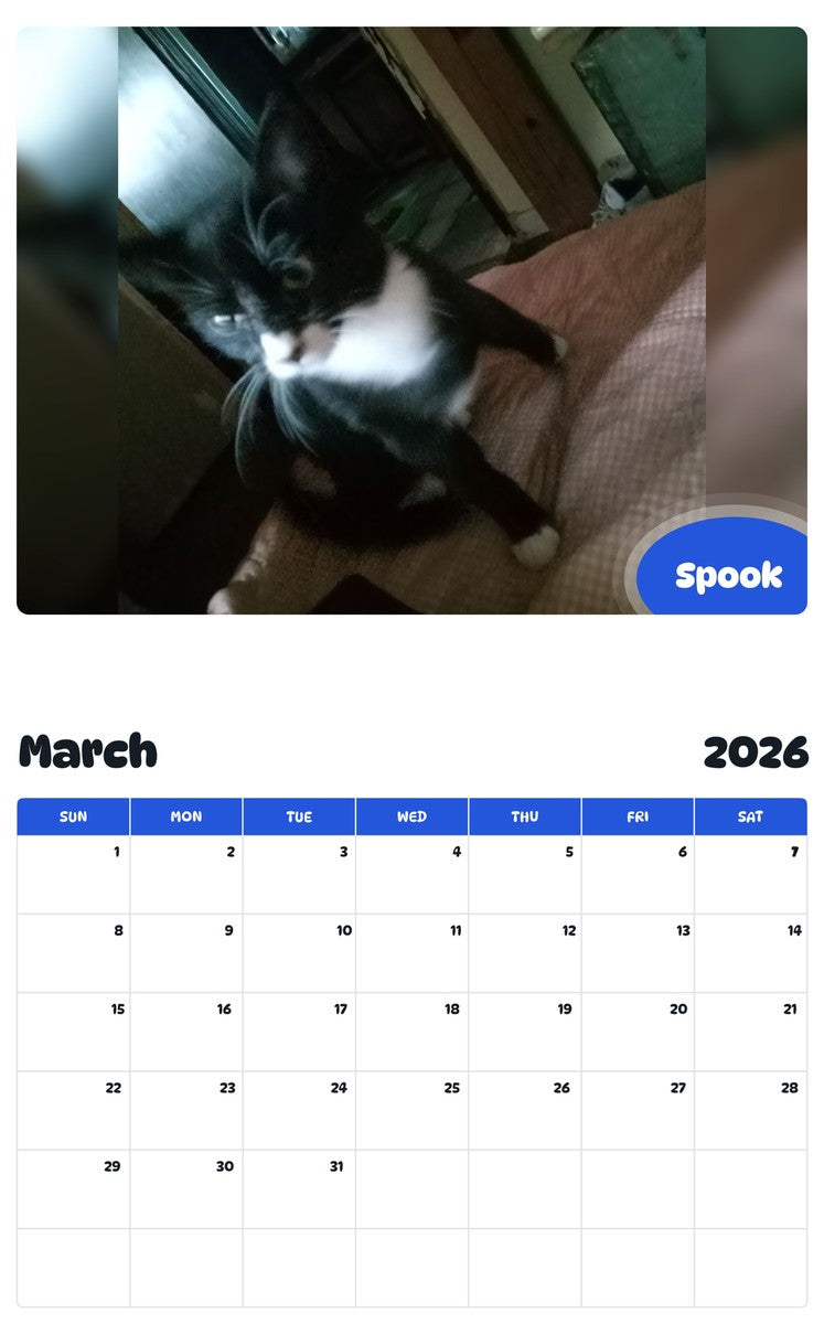 November 2025 - October 2026 Spook - Pawidols Pet Calendar