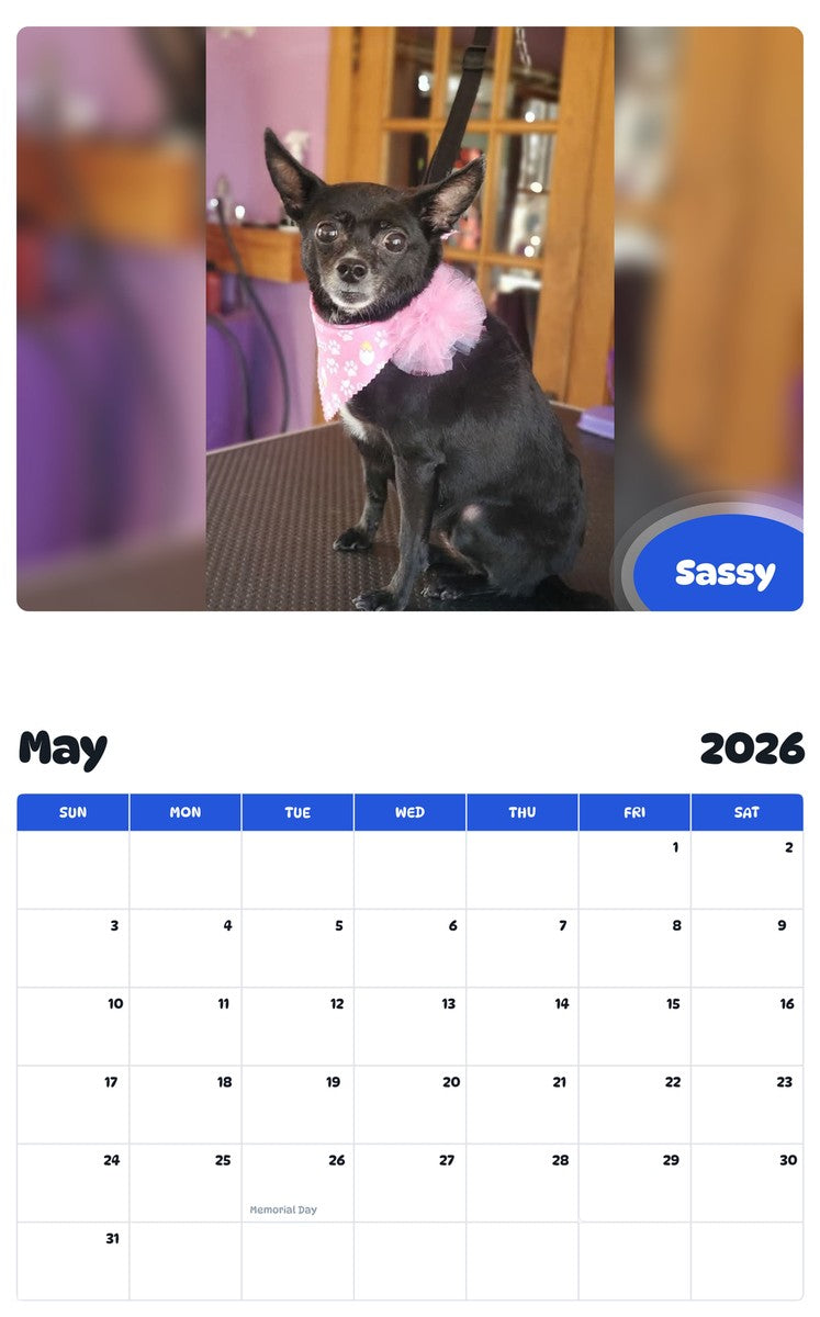 2026 - 2027 Sassy - Pawidols Pet Calendar