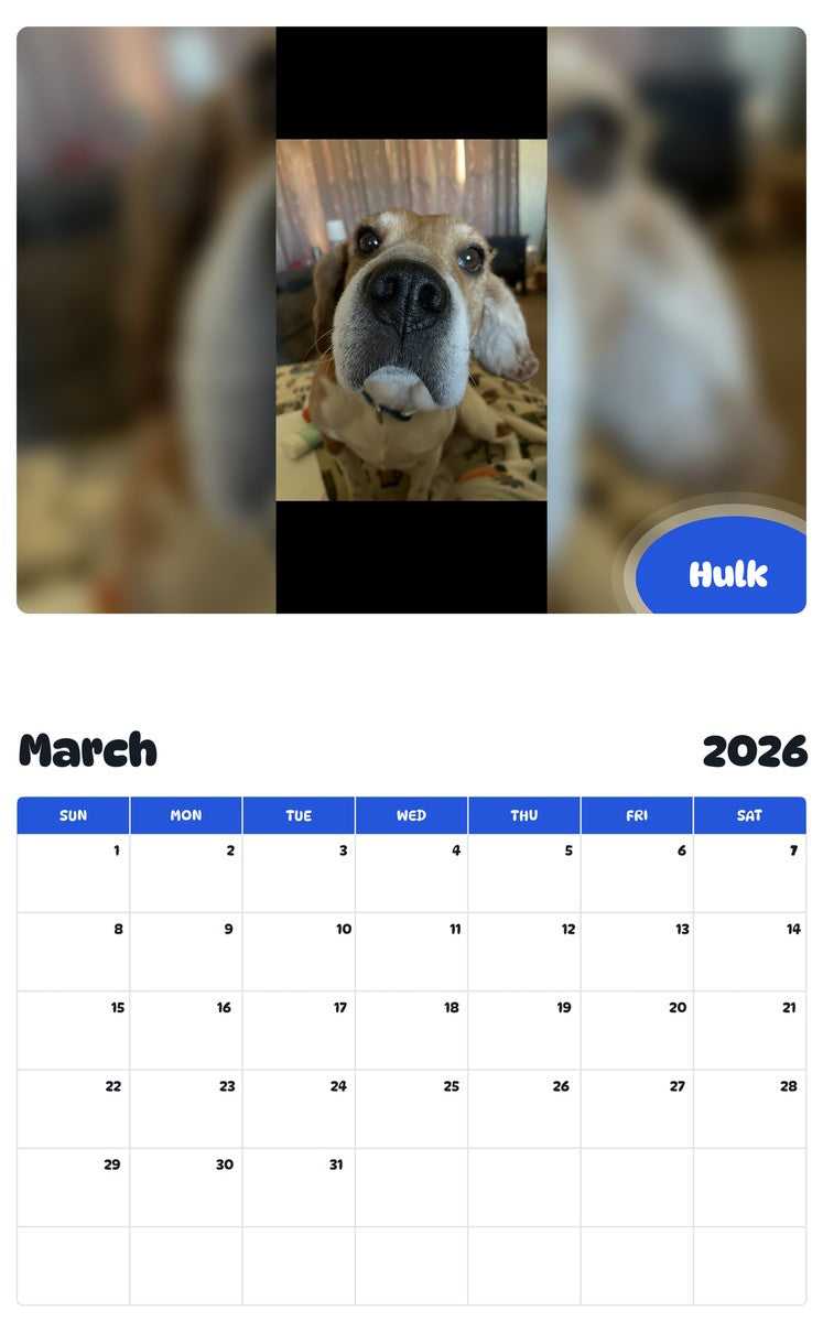 November 2025 - October 2026 Hulk - Pawidols Pet Calendar