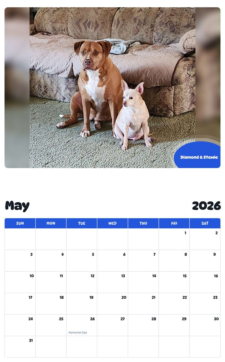 2026 - 2027 Diamond & Stewie - Pawidols Pet Calendar