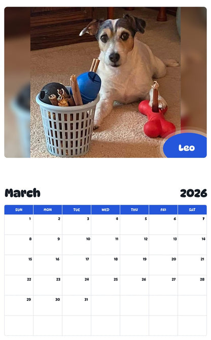 November 2025 - October 2026 Leo - Pawidols Pet Calendar