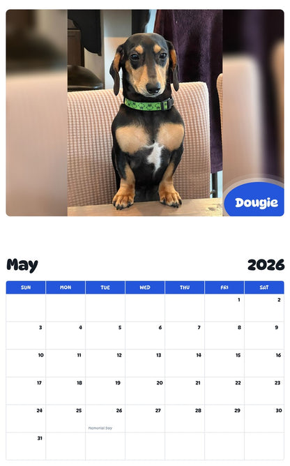 2026 - 2027 Dougie - Pawidols Pet Calendar