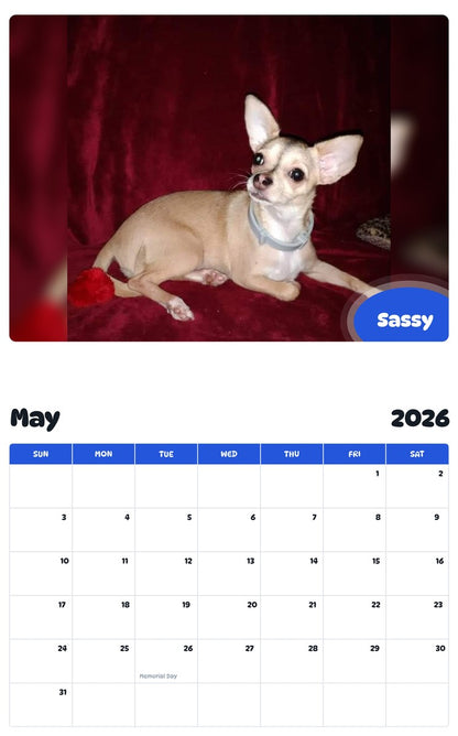 2026 - 2027 Sassy - Pawidols Pet Calendar