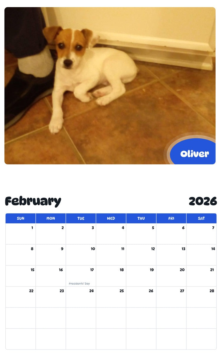 November 2025 - October 2026 Oliver - Pawidols Pet Calendar