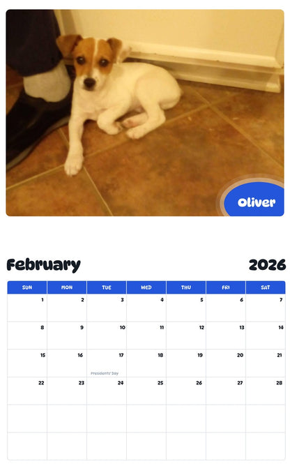 November 2025 - October 2026 Oliver - Pawidols Pet Calendar