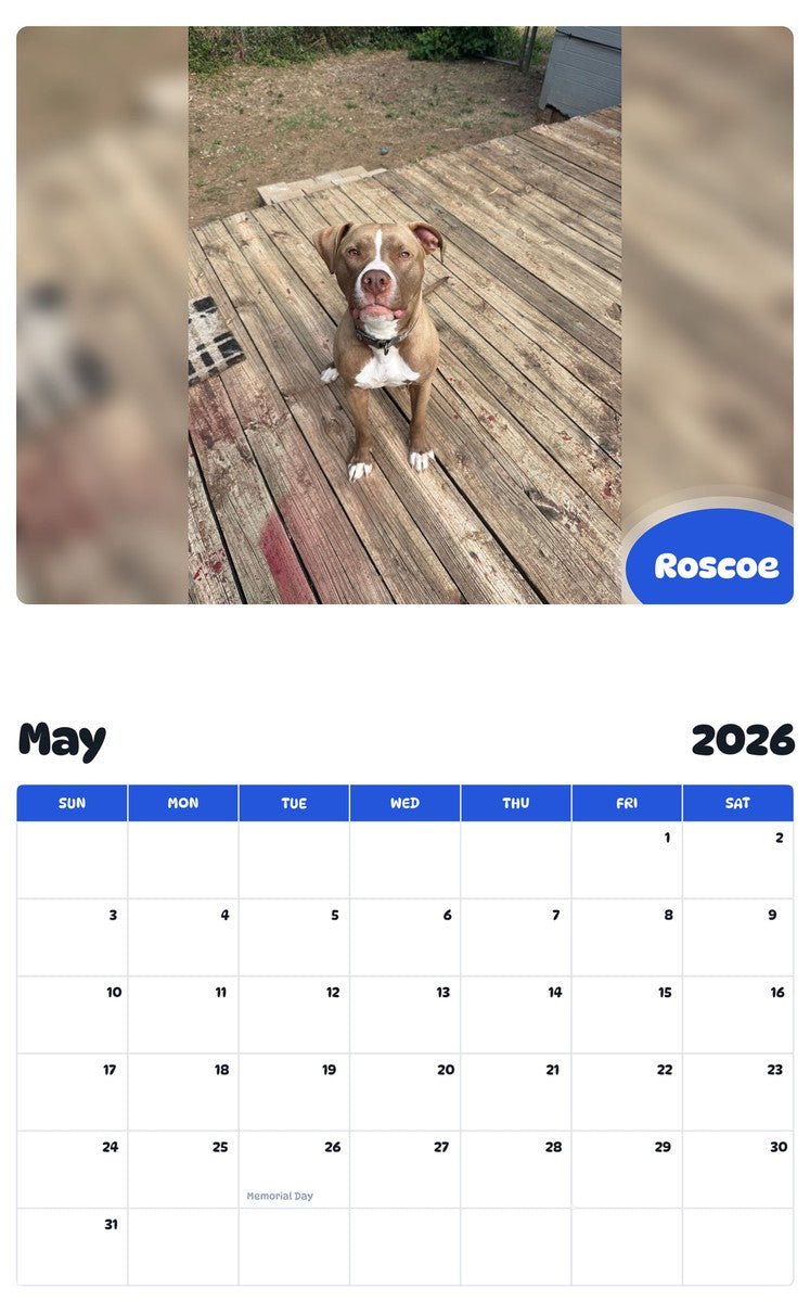 2026 - 2027 Roscoe - Pawidols Pet Calendar