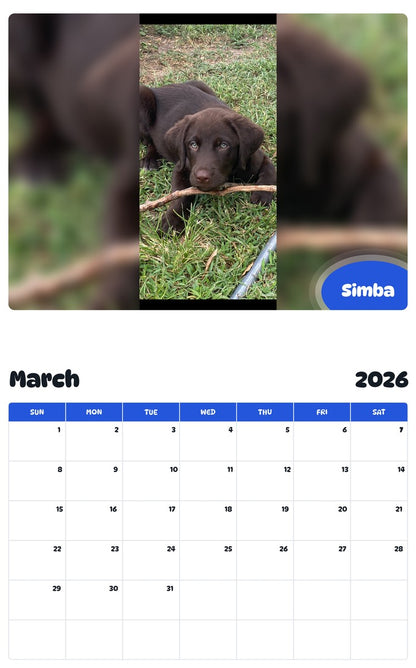 November 2025 - October 2026 Simba - Pawidols Pet Calendar