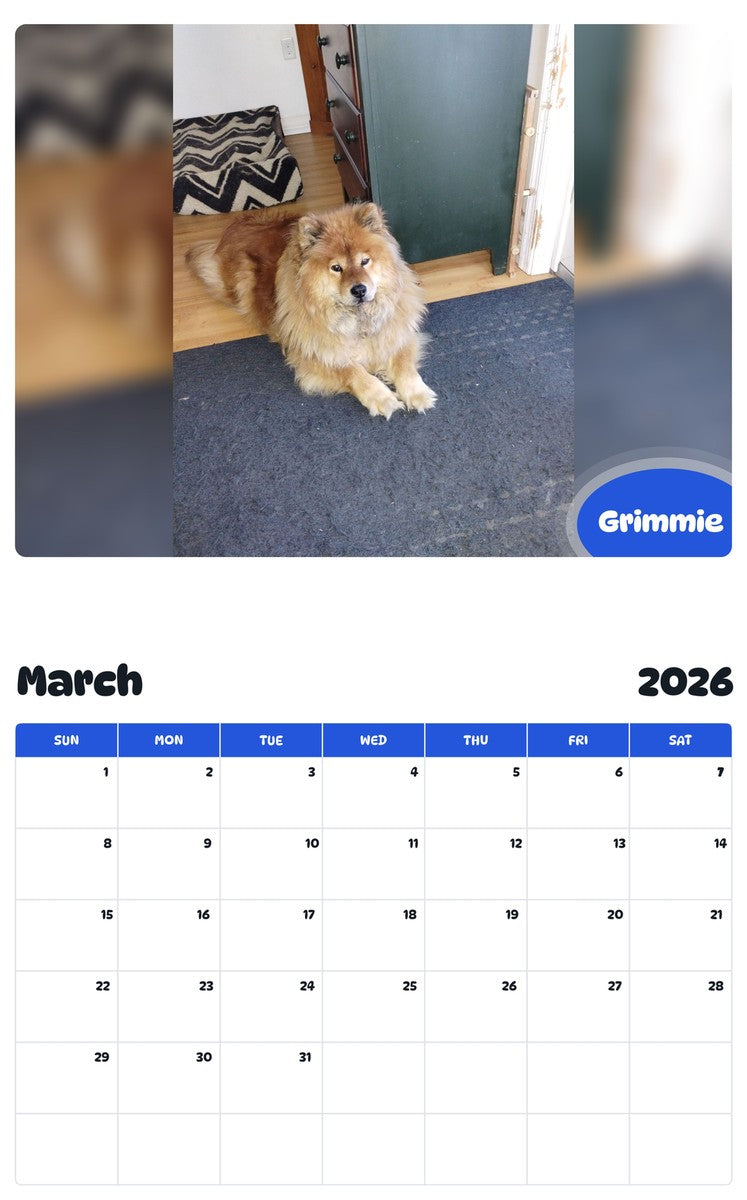November 2025 - October 2026 Grimmie - Pawidols Pet Calendar